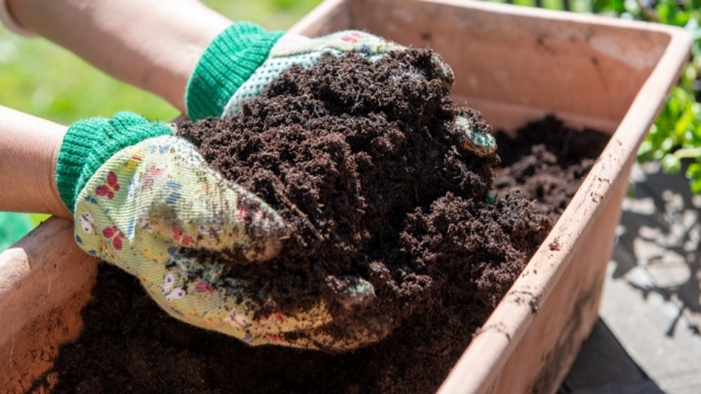 Unlocking the Secrets of Nutrient-Rich Earth: Exploring Organic Soils and Fertilizers