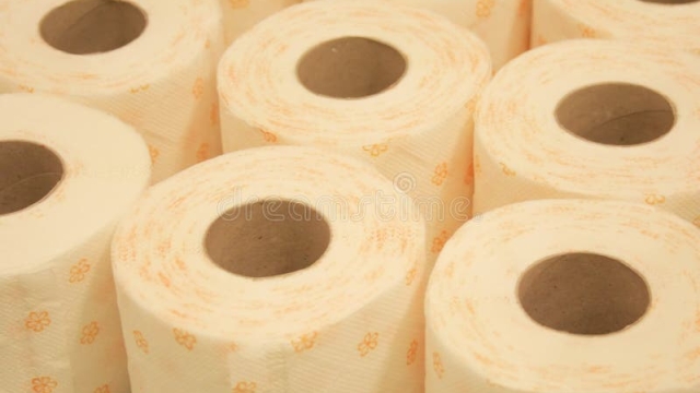 Unraveling the Truth: The Fascinating History of Toilet Paper