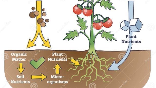 Unlocking the Secrets of Organic Soil and Fertilizer: Nurturing Nature’s Bounty