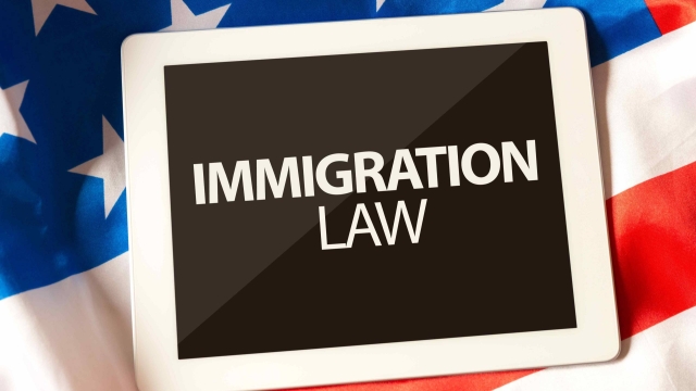 The Changing Landscape: Navigating Immigration Law in a Globalized World